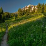 Backpacking trips timberline trail thedyrt